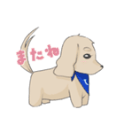 うるさくスタンプ Summer 2025（個別スタンプ：17）