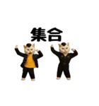 お猫様のスタンプ(特別編）（個別スタンプ：6）