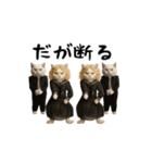 お猫様のスタンプ(特別編）（個別スタンプ：9）