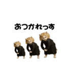 お猫様のスタンプ(特別編）（個別スタンプ：12）