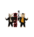 お猫様のスタンプ(特別編）（個別スタンプ：14）