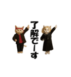 お猫様のスタンプ(特別編）（個別スタンプ：16）