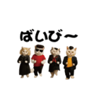 お猫様のスタンプ(特別編）（個別スタンプ：24）