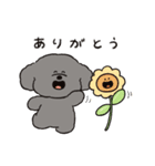 トイプーとアヒルの夏休み（個別スタンプ：1）