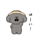 トイプーとアヒルの夏休み（個別スタンプ：2）
