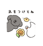 トイプーとアヒルの夏休み（個別スタンプ：6）