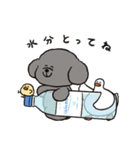 トイプーとアヒルの夏休み（個別スタンプ：8）