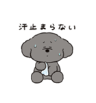 トイプーとアヒルの夏休み（個別スタンプ：17）