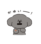 トイプーとアヒルの夏休み（個別スタンプ：20）
