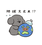 トイプーとアヒルの夏休み（個別スタンプ：21）