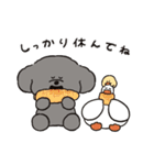 トイプーとアヒルの夏休み（個別スタンプ：24）