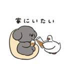 トイプーとアヒルの夏休み（個別スタンプ：27）