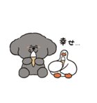 トイプーとアヒルの夏休み（個別スタンプ：28）