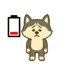 ハスキーの無気力日常 (ベトナム) Ver5（個別スタンプ：12）