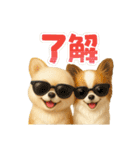 チワワ夏のスタンプ毎日使える日常お断り（個別スタンプ：16）