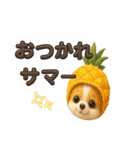 チワワ夏のスタンプ毎日使える日常お断り（個別スタンプ：20）
