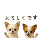 チワワ夏のスタンプ毎日使える日常お断り（個別スタンプ：25）