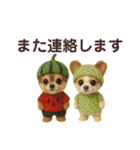 チワワ夏のスタンプ毎日使える日常お断り（個別スタンプ：26）