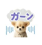チワワ夏のスタンプ毎日使える日常お断り（個別スタンプ：30）