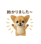 チワワ夏のスタンプ毎日使える日常お断り（個別スタンプ：34）
