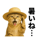 素直なネコのスナネコ！スナちゃんの夏休み（個別スタンプ：2）