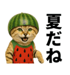 素直なネコのスナネコ！スナちゃんの夏休み（個別スタンプ：3）