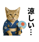 素直なネコのスナネコ！スナちゃんの夏休み（個別スタンプ：5）