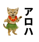 素直なネコのスナネコ！スナちゃんの夏休み（個別スタンプ：6）