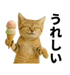 素直なネコのスナネコ！スナちゃんの夏休み（個別スタンプ：8）