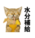 素直なネコのスナネコ！スナちゃんの夏休み（個別スタンプ：9）