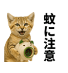 素直なネコのスナネコ！スナちゃんの夏休み（個別スタンプ：12）