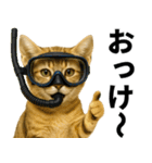 素直なネコのスナネコ！スナちゃんの夏休み（個別スタンプ：16）