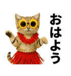 素直なネコのスナネコ！スナちゃんの夏休み（個別スタンプ：17）