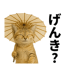 素直なネコのスナネコ！スナちゃんの夏休み（個別スタンプ：18）