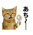 素直なネコのスナネコ！スナちゃんの夏休み（個別スタンプ：19）