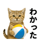 素直なネコのスナネコ！スナちゃんの夏休み（個別スタンプ：22）