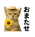 素直なネコのスナネコ！スナちゃんの夏休み（個別スタンプ：23）