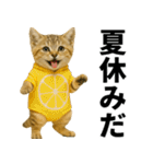 素直なネコのスナネコ！スナちゃんの夏休み（個別スタンプ：24）