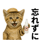 素直なネコのスナネコ！スナちゃんの夏休み（個別スタンプ：30）