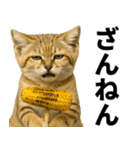 素直なネコのスナネコ！スナちゃんの夏休み（個別スタンプ：31）
