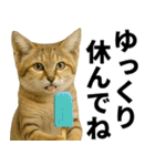 素直なネコのスナネコ！スナちゃんの夏休み（個別スタンプ：32）