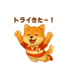 ラグビー大好き柴犬コタロウのスタンプ2（個別スタンプ：5）