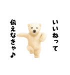 エッホエッホあざらしとシロクマ（個別スタンプ：3）