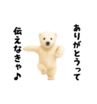 エッホエッホあざらしとシロクマ（個別スタンプ：5）