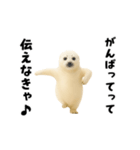 エッホエッホあざらしとシロクマ（個別スタンプ：13）