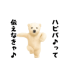 エッホエッホあざらしとシロクマ（個別スタンプ：16）