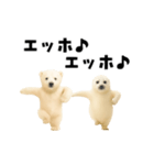 エッホエッホあざらしとシロクマ（個別スタンプ：23）