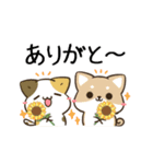 動く！毎日五月病な犬とねこたち 夏（個別スタンプ：2）