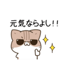 動く！毎日五月病な犬とねこたち 夏（個別スタンプ：13）