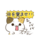 動く！毎日五月病な犬とねこたち 夏（個別スタンプ：20）